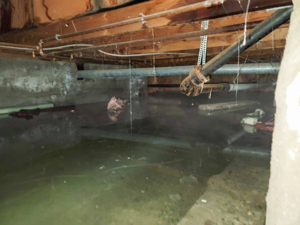 Best Water damage restoration near me  in Calhoun, GA