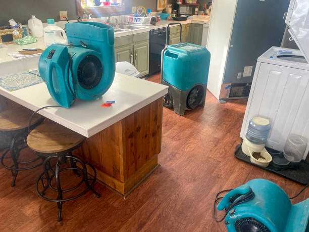 Best Residential water damage restoration  in Calhoun, GA