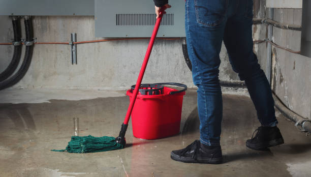 Best Water damage restoration near me  in Calhoun, GA