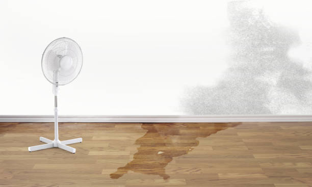Best Flooded house restoration  in Calhoun, GA