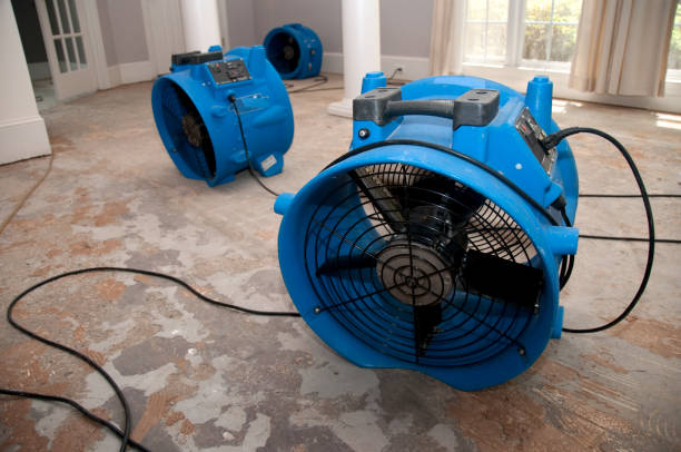 Best Flood damage cleanup  in Calhoun, GA