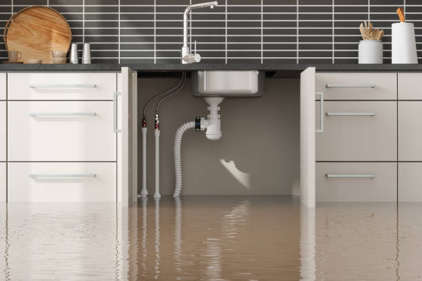 Best Water damage restoration near me  in Calhoun, GA