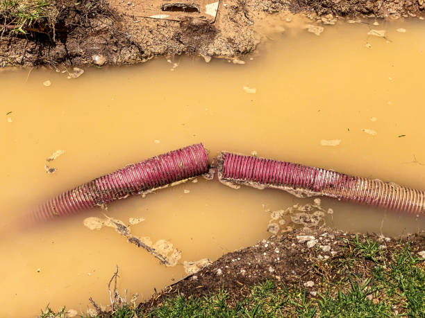 Best Emergency water damage restoration  in Calhoun, GA
