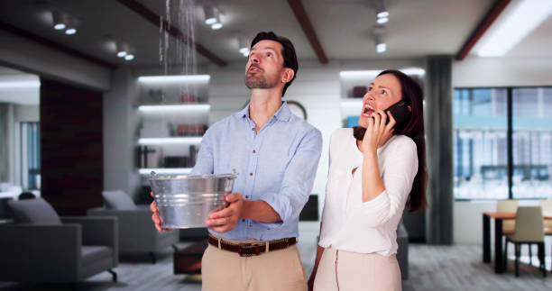 Best Water damage cleanup near me  in Calhoun, GA