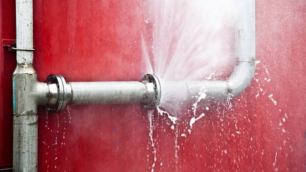 Best Flood damage cleanup  in Calhoun, GA